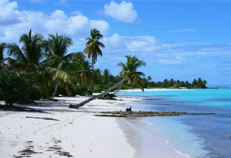 Discover De Palm Island Aruba: A Tropical Oasis with a Taste of Tradition