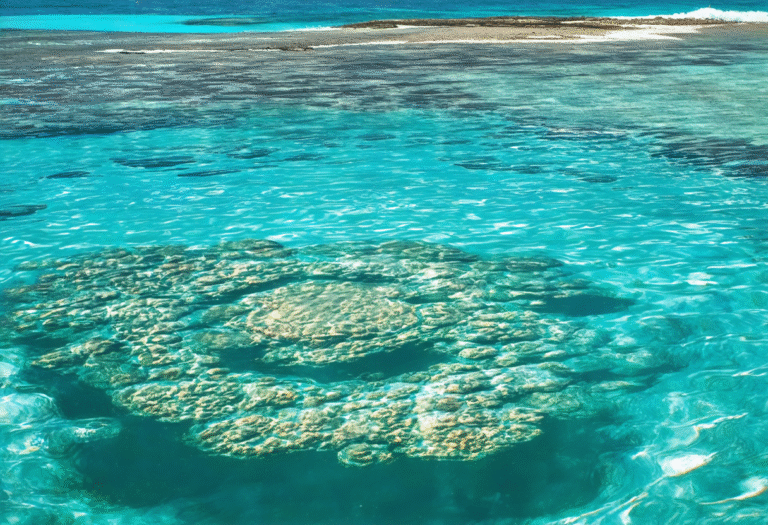 Discovering Aruba's Natural Wonders: Baby Beach Conchi and Bodegas Papiamento