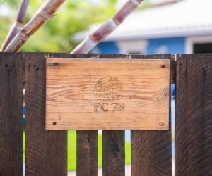 TYLER-CAVALLARO-@TYLERAUA-13-min