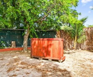 TYLER-CAVALLARO-@TYLERAUA-31-min